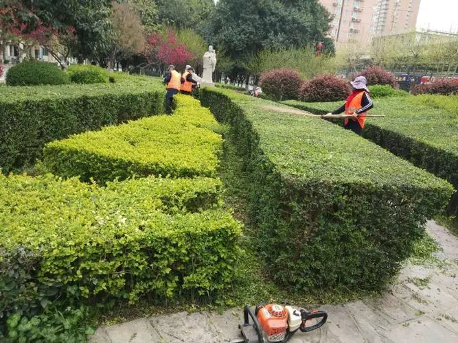 别墅园林景观设计窗洞怎么做