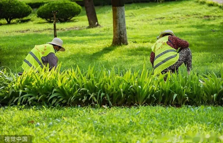 花园别墅园林景观设计方案