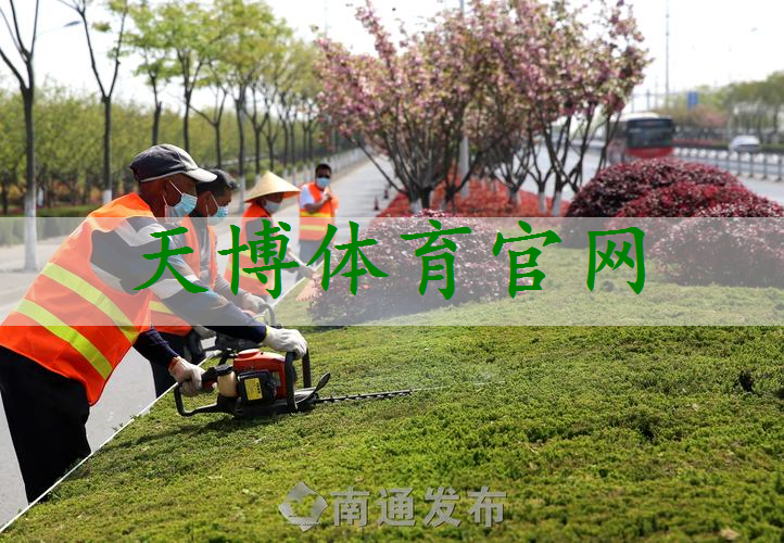 昭通市政道路绿化常用苗木