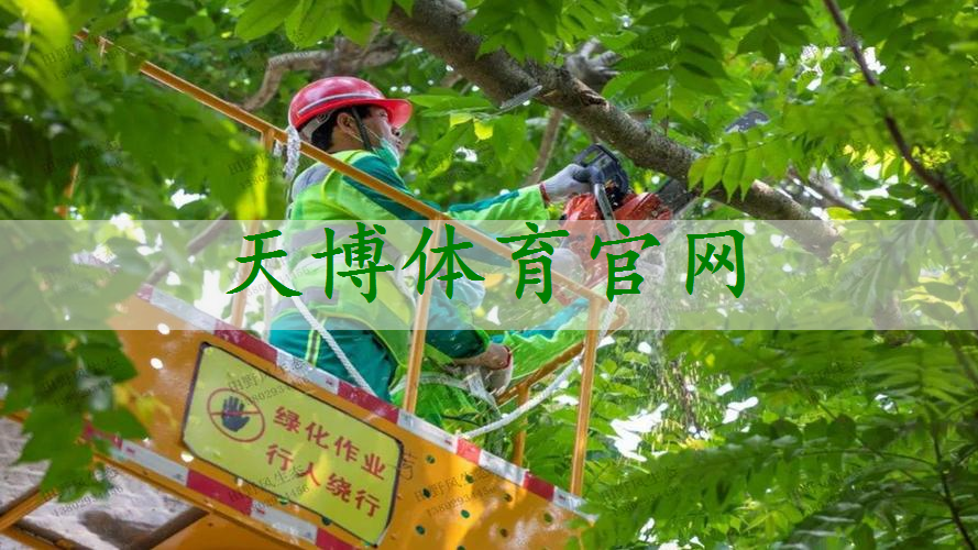 采摘园加地锅鸡园林景观设计